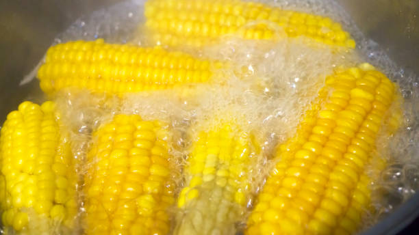 maíz hervido en agua caliente - hervido fotografías e imágenes de stock