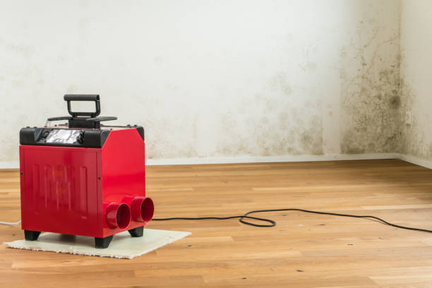 desumidificador vermelho em um quarto de apartamento vazio - spotted paint red wall - fotografias e filmes do acervo