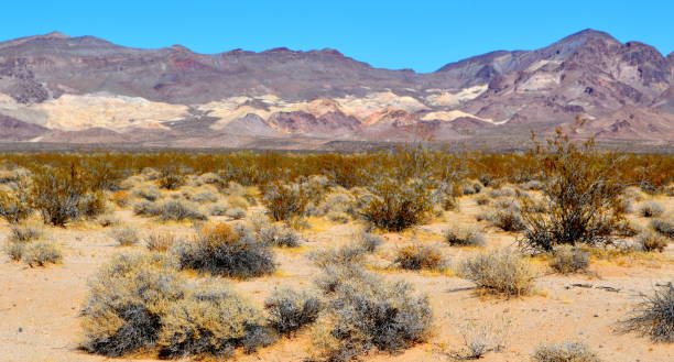 istock Scenic view of Arizona Dessert 876568722