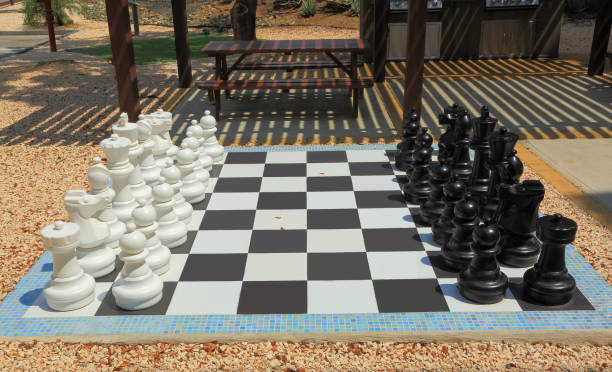 istock Chessboard with huge black and white chess figures for outdoor playing. 876569744