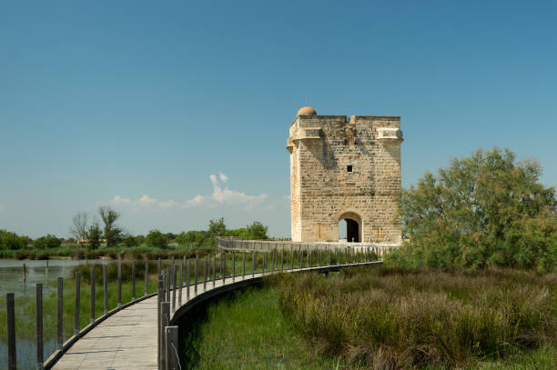 excursão carbonnière perto de aigues mortes em camargue, frança - swamp moody sky marsh standing water - fotografias e filmes do acervo