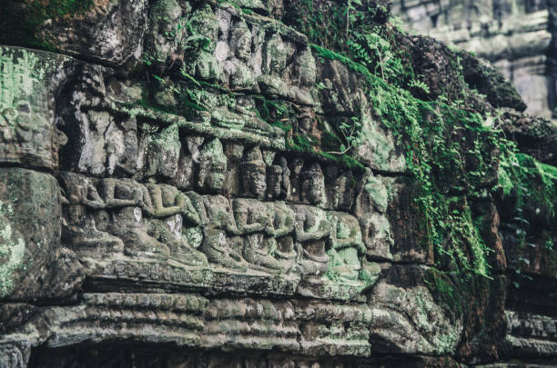 temple ta phrom - ankor photos et images de collection