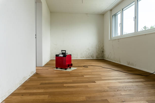 istock red dehumidifier in an empty apartment room 876576056