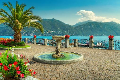 Amazing promenade with colorful flowers, palm trees on the shore, Lake Como, Lombardy region, Northern Italy, Europe