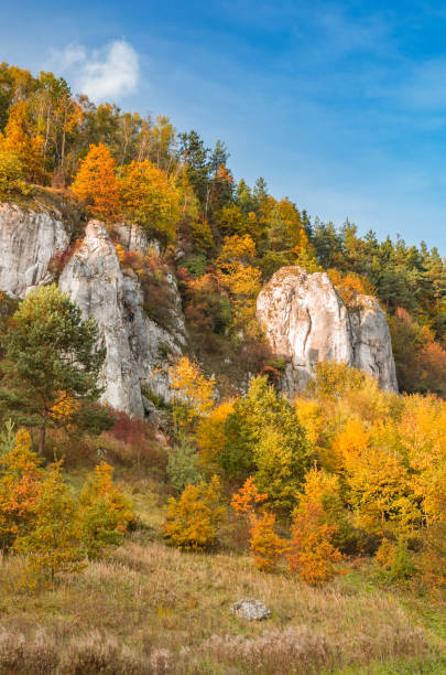 istock Autumn in Poland, cliffs in Dolina Kobylanska (Kobylanska Valley) near Krakow 876576820