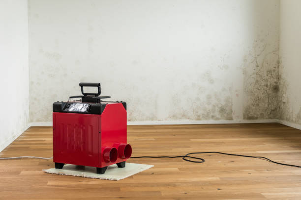 istock red dehumidifier in an empty apartment room 876579198