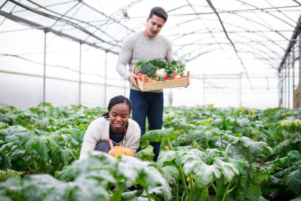 istock Growing Our Own Organic Vegetables 876582744