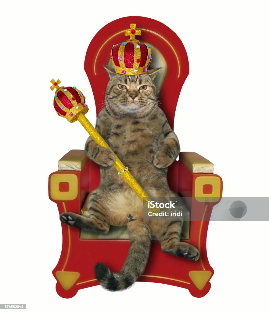 Cat King On The Throne Stock Photo - Download Image Now - Crown - Headwear,  Domestic Cat, Pets - iStock