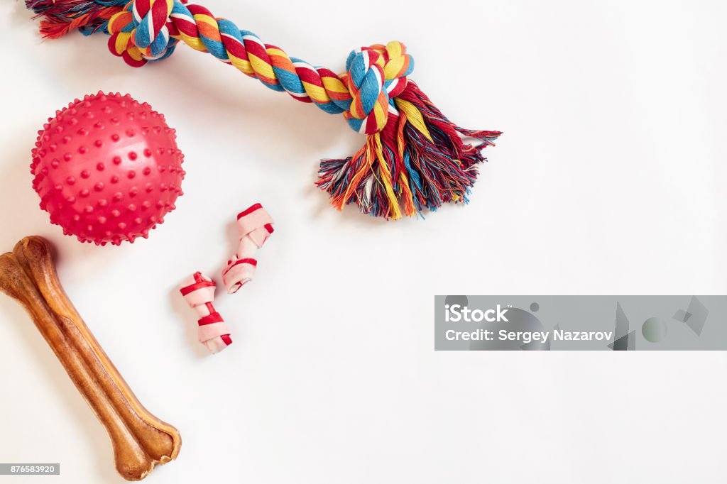 Set de juguetes para perros: bola de juguete y rosa de perro algodón colorido sobre un fondo blanco - Foto de stock de Juguete para perros libre de derechos