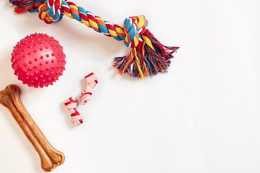 Dog toys set: colorful cotton dog toy and pink ball on a white background. Top view. Copy space. Still life. Flat lay.