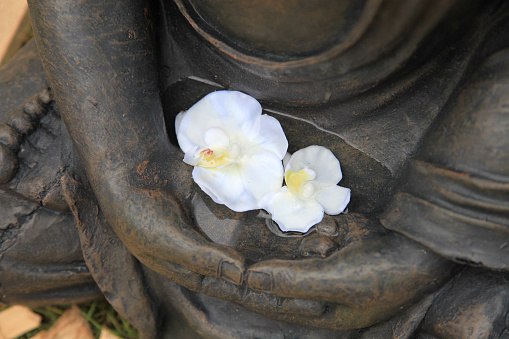 Buddha with white orchid bloom in the hand