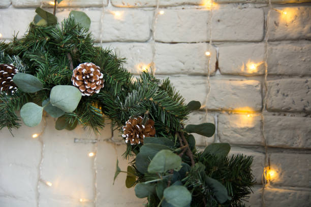 Close up of the Christmas tree branches Close up of the Christmas tree branches with cones on a background of a brick wall. pine log state forest stock pictures, royalty-free photos & images