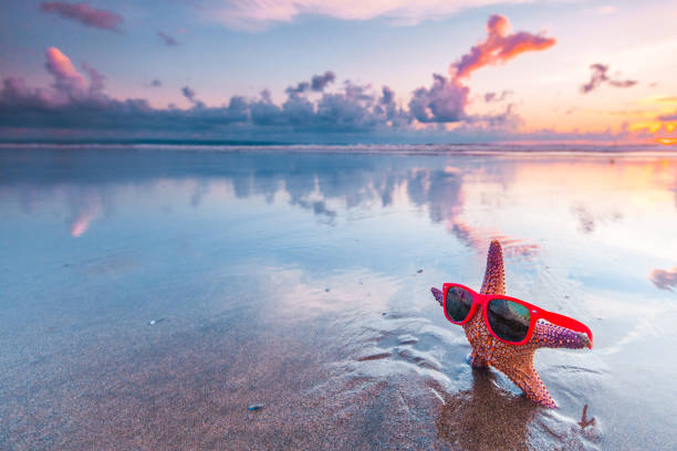 Starfish in sunglasses on sea beach