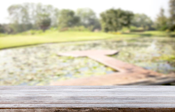 istock Empty wooden table top and blurred tree background. For montage of your product. 876593178