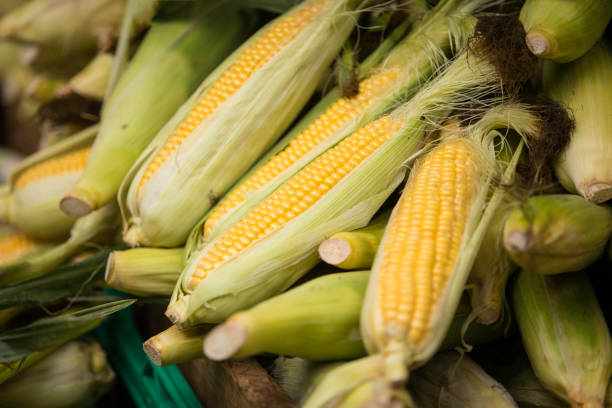 corn at a street market