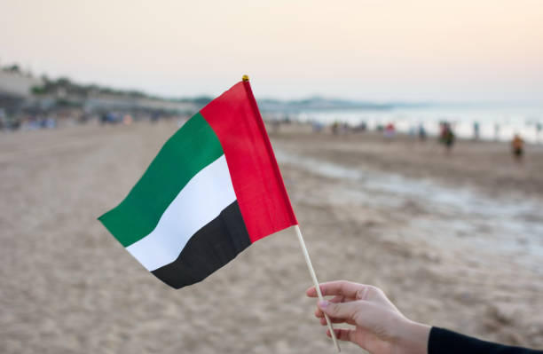 istock Hand United Arab Emirates flag on the beach 876604772