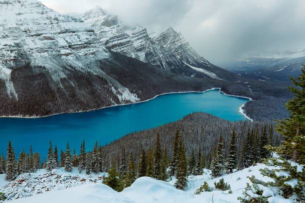 istock Peyto lake in Banff national park 876608078