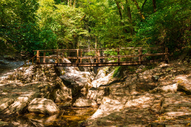 istock Wooden bridge over Agura river, Sochi, Russia 876608646
