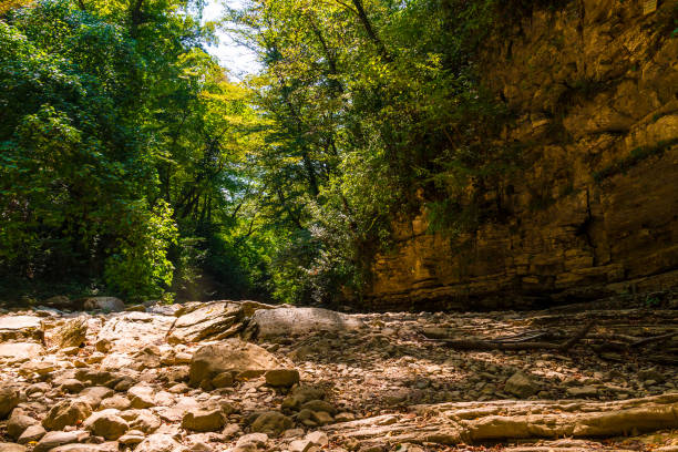 istock Bright day in Agura gorge, Sochi, Russia 876608778