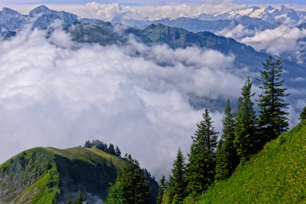istock Fog in the Swiss Alps 876615492