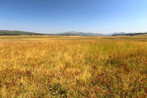 долина пеликан - prairie sky grass large стоковые фото и изображения