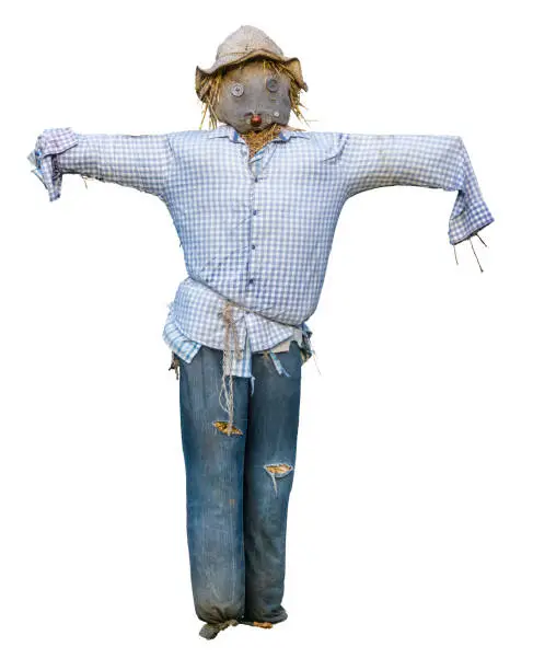 Spooky Isolated Scarecrow WIth Hat And Button Eyes On White Background
