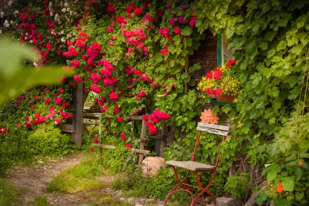 Photo of Rose Garden, Elfengarten