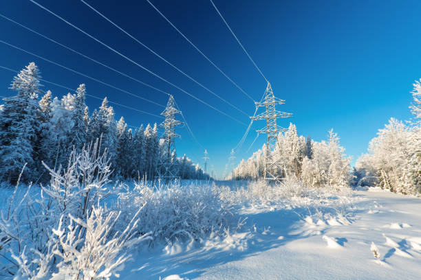 青い空にオーバーヘッド電気ライン。 電源ラインや冬の森の雪で覆われて電気送電線の電線。 - fuel and power generation power line electricity pylon built structure ストックフォトと画像