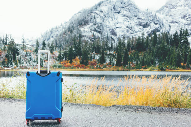 istock Blue suitcase standing in front of mountain landscape 876621822