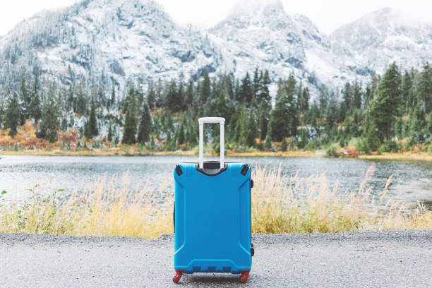 istock Blue suitcase standing in front of mountain landscape 876621824