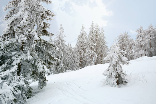 istock Beautiful winter mountains landscape in morning 876621982