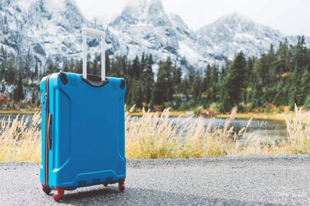 istock Blue suitcase standing in front of mountain landscape 876622204