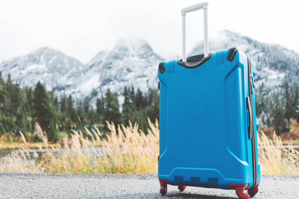 istock Blue suitcase standing in front of mountain landscape 876622306