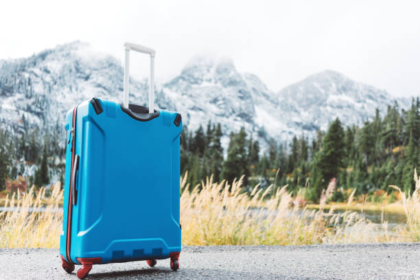 istock Blue suitcase standing in front of mountain landscape 876622448