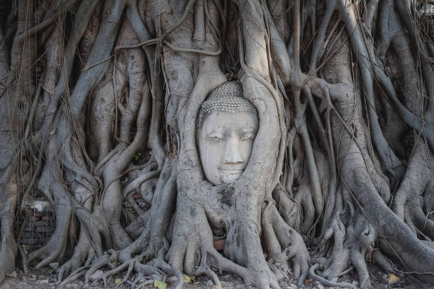 istock Buddha statue used as amulets of Buddhism religion 876626604