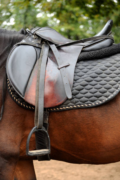 istock Detail of a horse saddle 876626690