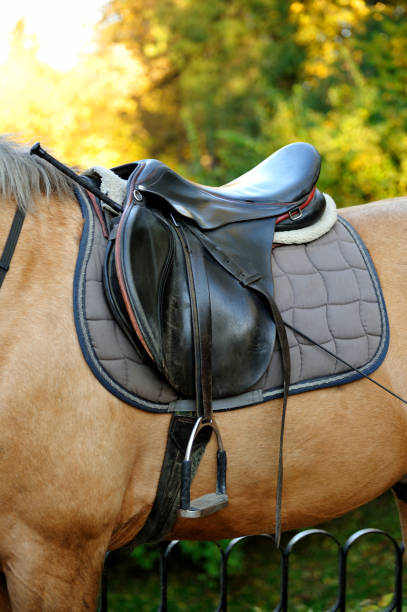 istock Detail of a horse saddle 876627852