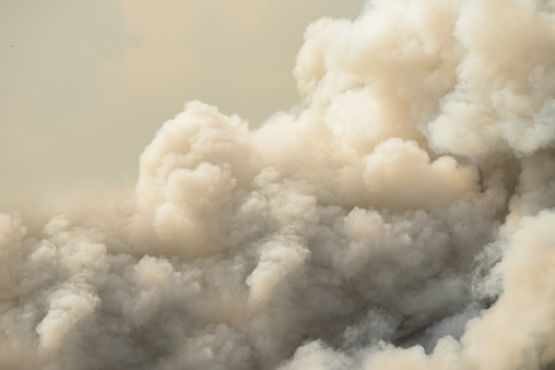 Dense white smoke rising from the raging wildfire,close up swirling white smoke background.