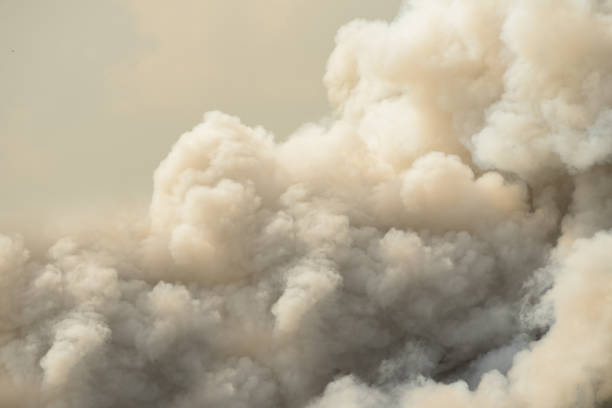 gęsty biały dym unoszący się z szalejącego pożaru - wildfire smoke zdjęcia i obrazy z banku zdjęć