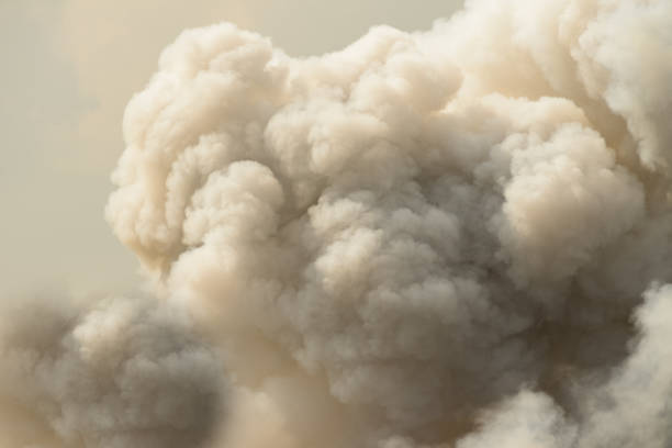 istock Dense white smoke rising from the raging wildfire 876628834