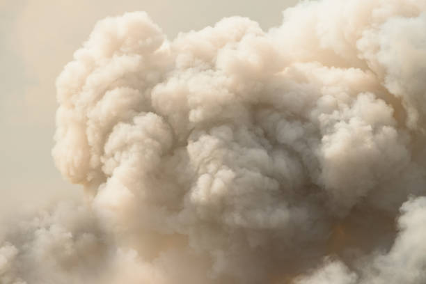 istock Dense white smoke rising from the raging wildfire 876628838
