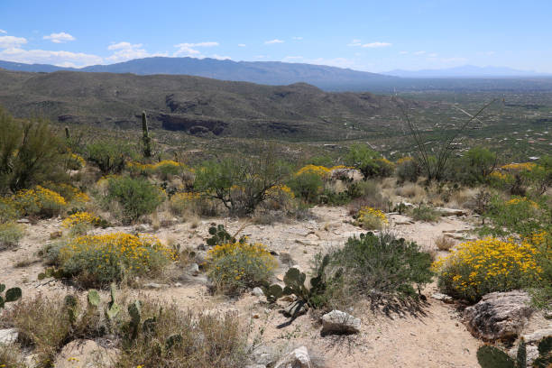 istock Santa Catalina Mountains 876632270