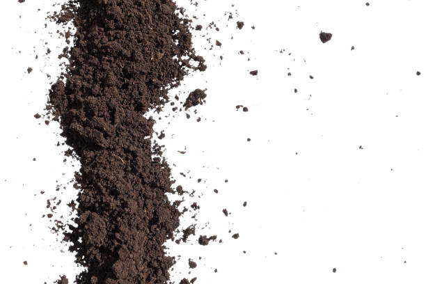 istock Pile of soil 876632544