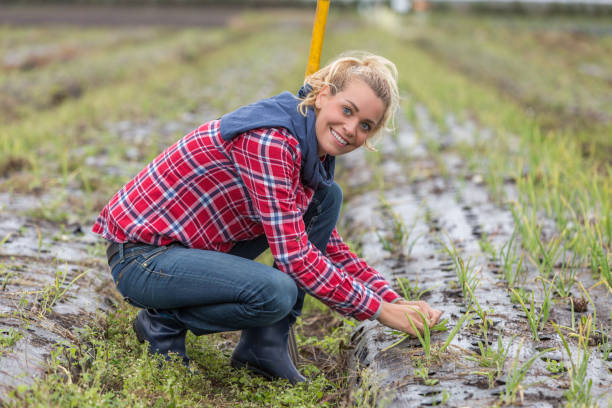 istock woman farmer in small farm 876638308