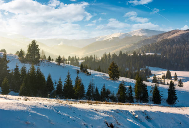 istock forested hills of mountain ridge in winter 876638416