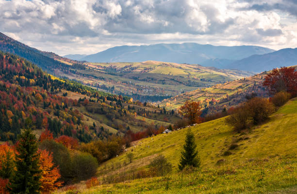 istock rural countryside in autumn 876638496