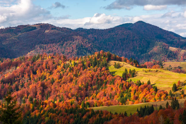 istock rural countryside in autumn 876638510