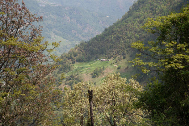 istock Annapurna sanctuary trek 876638776