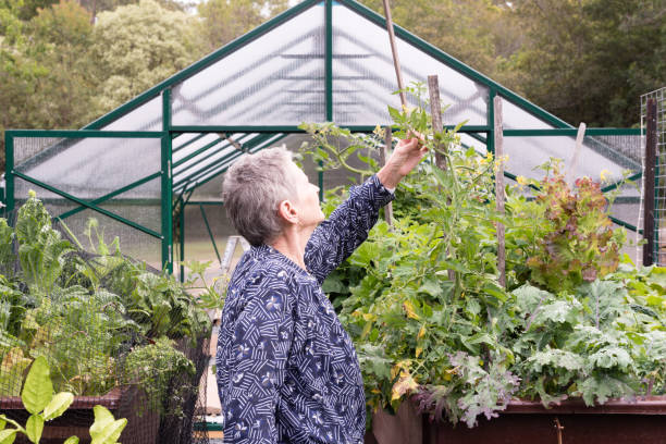 istock Older woman in garden 876646288