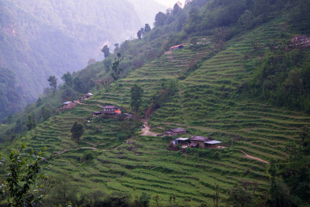 istock Annapurna sanctuary trek 876649412